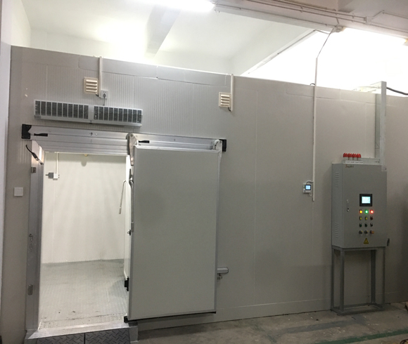 广州番禺番卫医疗器械冷冻库供货安装项目